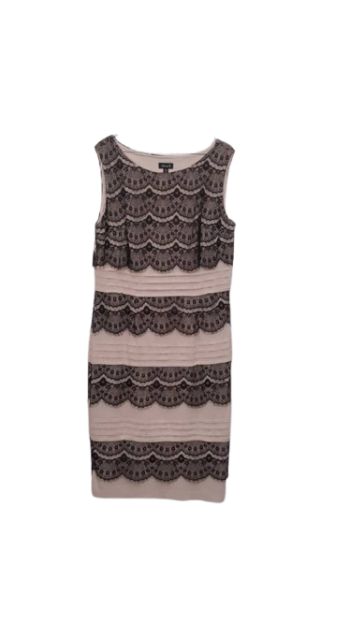 Alexa B Black And Nude Gown Size 16