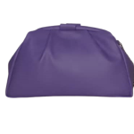 Female Purple Hand Bag