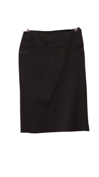 Reneta Gray Skirt Size 42