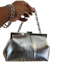 Silver Purse