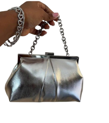Silver Purse