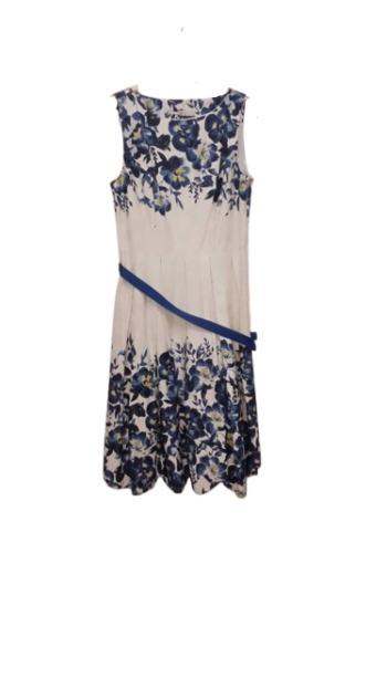 Sophie Gray White And Blue Gown Size 14