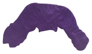 Moments Purple Crop Top