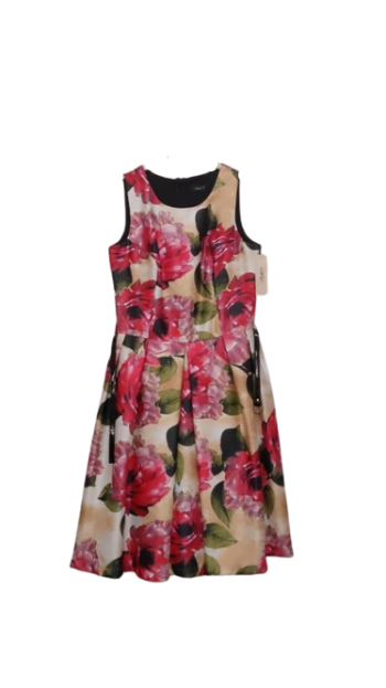 Oben Multicolor Gown Size 40